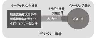 分子プローブとデリバリー機能の概念図