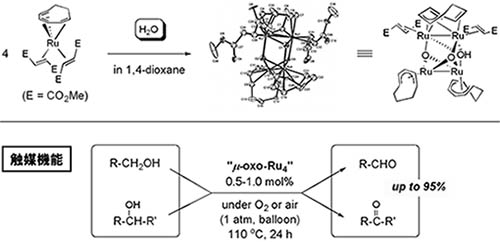 酸素架橋ルテニウム４核錯体の合成、単結晶Ｘ線構造解析、および触媒機能の解明