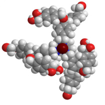 Novel chiral dendrimer–triamine-coordinated Gd MRI contrast agent 