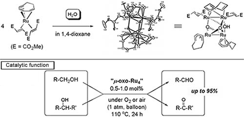  Synthesis and catalytic function of oxo-crosslinked four-Ru-nuclei complex